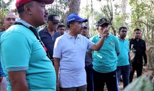 walikota di kali 1