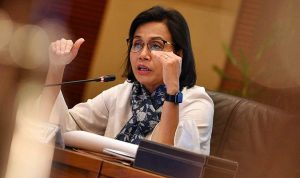 sri mulyani