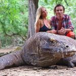 wisata komodo