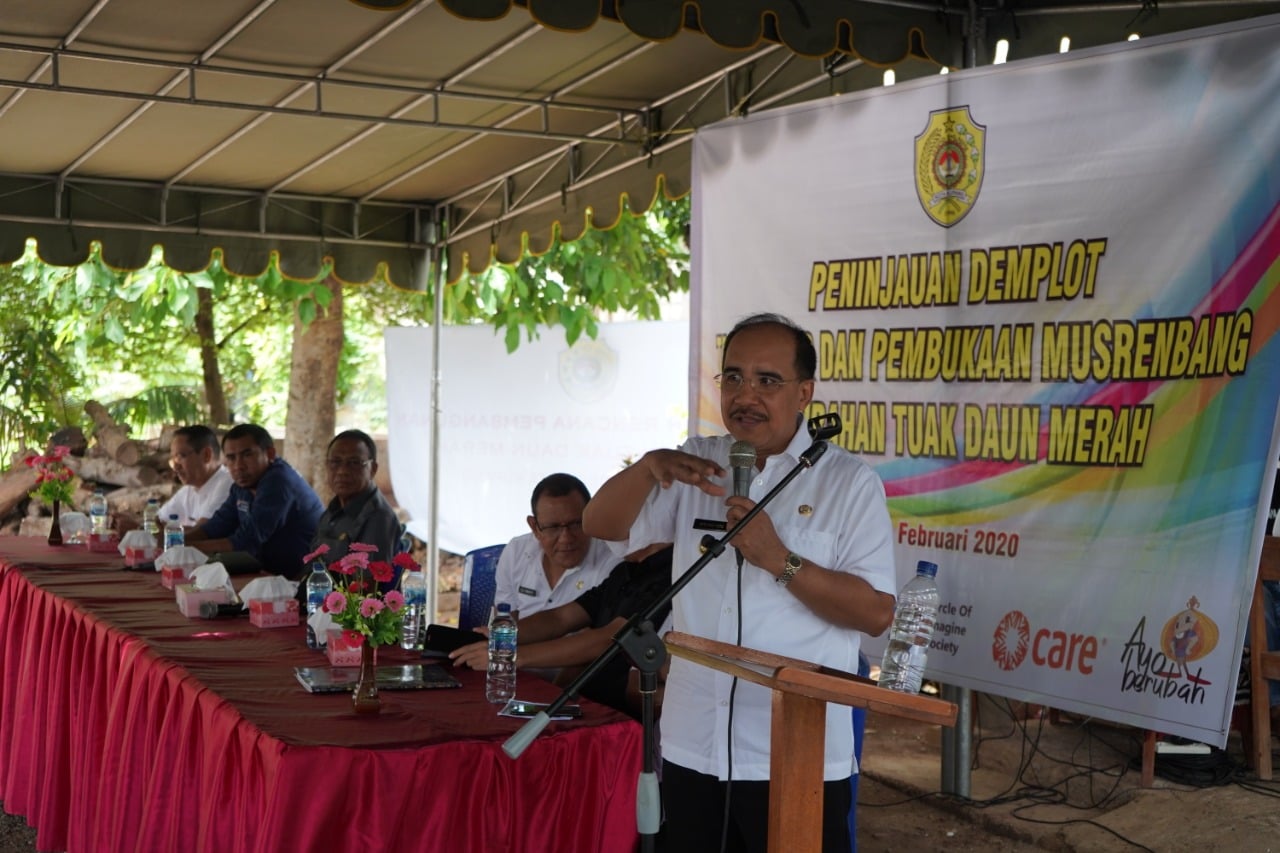 peninjauan demplot