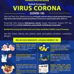 korona virus