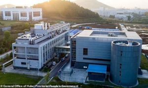 lab wuhan