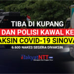SAMPUL VAKSIN COVID