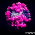corona-3d corona 3d
