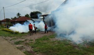 fogging di nagekeo