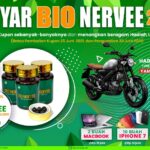 gebyar bio nervee 1