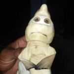 ikan manusia