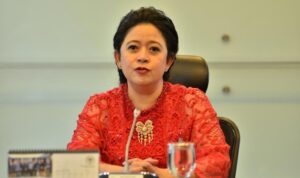 puan puan