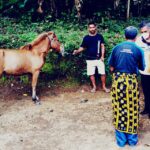 IMG 20210326 WA0034