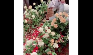 viral kisah perempuan gagal menikah karena calon suami meninggal h 1 pernikahan 9yIHcQqCQP