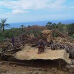korban di sarai korban di sarai