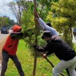 pohon rusak pohon rusak