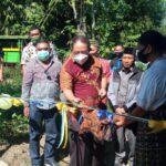 bupati matim bupati matim 1