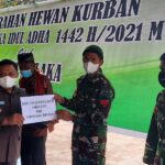 serahkan hewan kurban malaka serahkan hewan kurban malaka