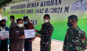 serahkan hewan kurban malaka serahkan hewan kurban malaka