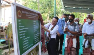 kelompok tani kelompok tani