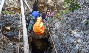 tulang manusia tulang manusia