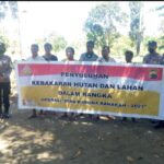 kebakaran hutan kebakaran hutan