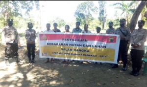 kebakaran hutan kebakaran hutan