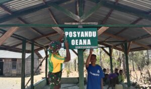 posyandu posyandu