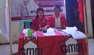 GMNI-2 GMNI 2