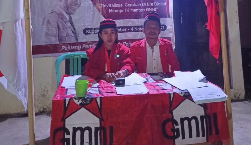 GMNI 2