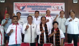 Perindo nagekeo