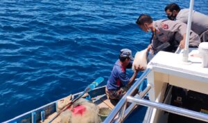 Polsek Borong Beri Bantuan Beras Polsek Borong Beri Bantuan Beras