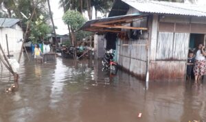 banjir sikka banjir sikka