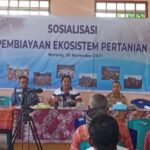 bank NTT di matim bank NTT di matim
