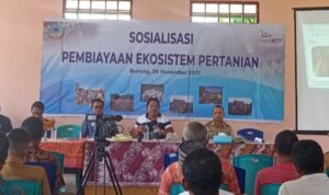 bank NTT di matim bank NTT di matim