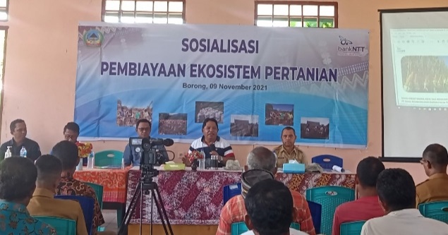bank NTT di matim