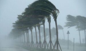 la nina la nina