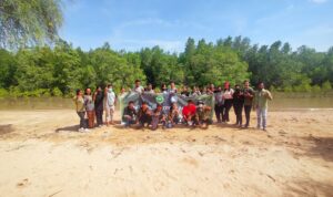 tanam bakau tanam bakau