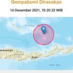 81157 gempa flores