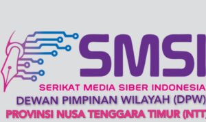 smsi smsi
