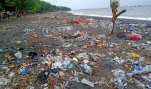 sampah di ende