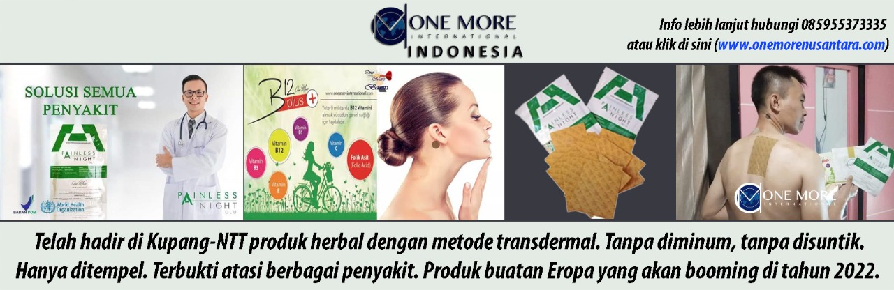 one more nusantara onemorenusantara
