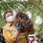 airlangga 3