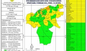 data covid kota kupang data covid kota kupang