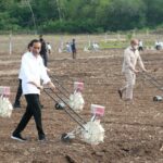 presiden tanam jagung presiden tanam jagung