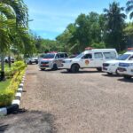 ambulans ambulans