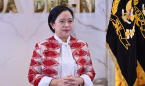 puan puan 2