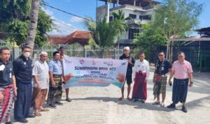hewan kurban bank NTT hewan kurban bank NTT