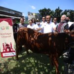 sinarmas kurban