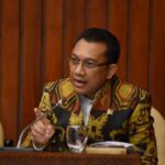 ansi lema baru