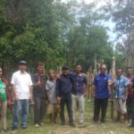 bantuan ternak