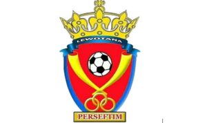 logo perseftim