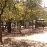pulau komodo sepi pulau komodo sepi