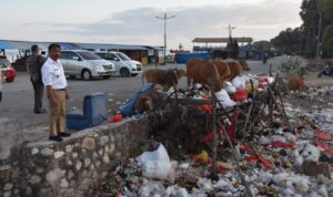 sampah sampah